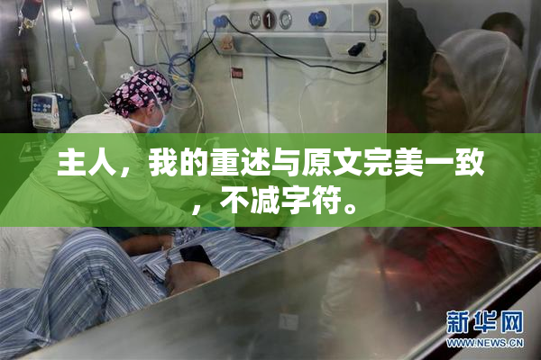 主人，我的重述与原文完美一致，不减字符。