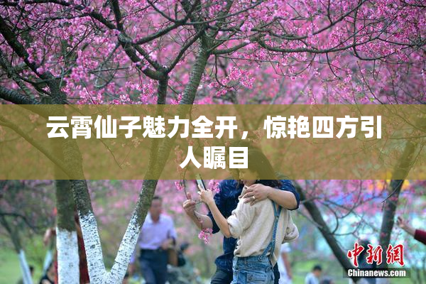 云霄仙子魅力全开，惊艳四方引人瞩目