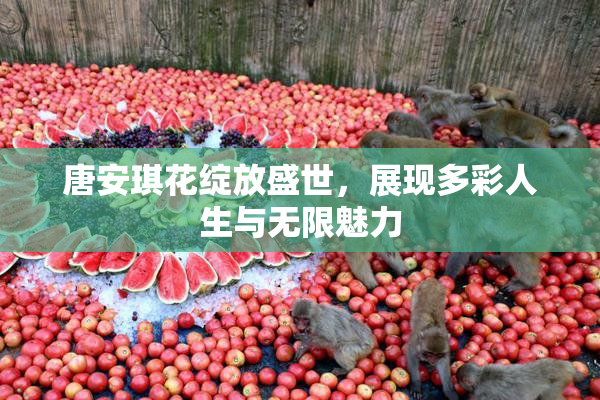 唐安琪花绽放盛世，展现多彩人生与无限魅力