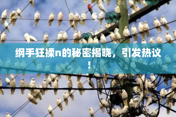 纲手狂揉n的秘密揭晓，引发热议！