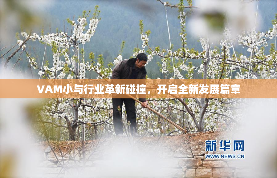 VAM小与行业革新碰撞，开启全新发展篇章
