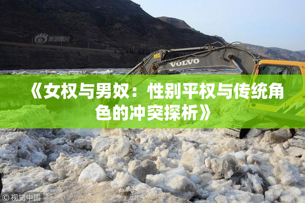 《女权与男奴：性别平权与传统角色的冲突探析》