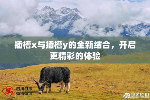 插槽x与插槽y的全新结合，开启更精彩的体验