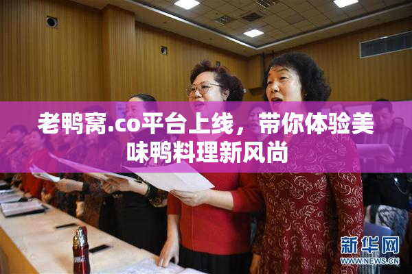 老鸭窝.co平台上线，带你体验美味鸭料理新风尚
