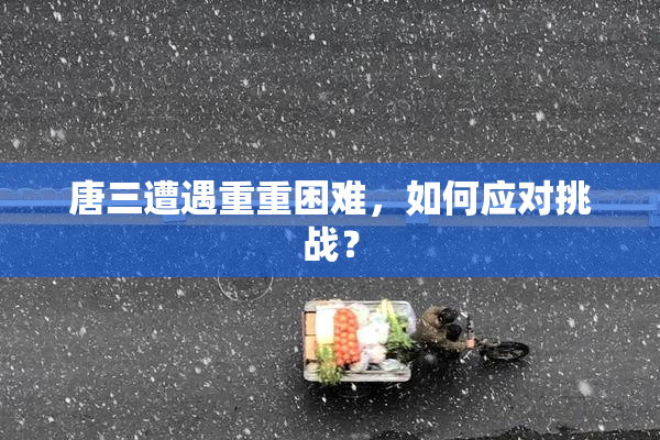 唐三遭遇重重困难，如何应对挑战？