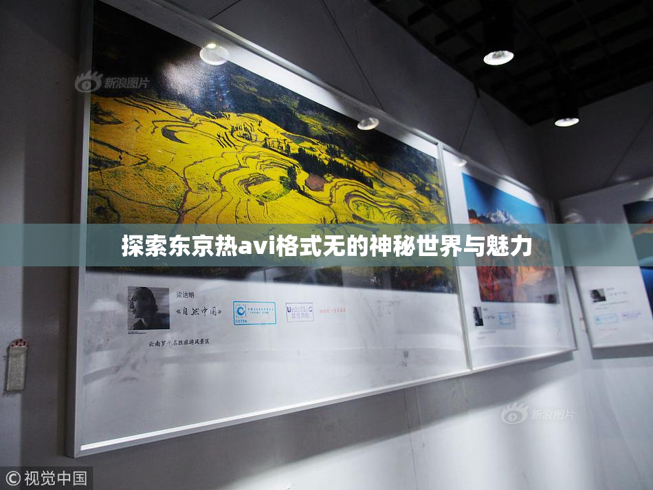探索东京热avi格式无的神秘世界与魅力