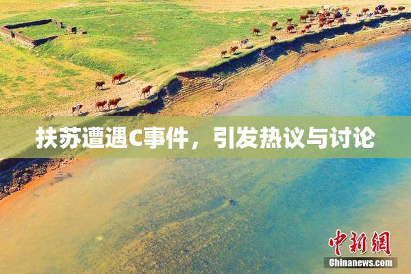扶苏遭遇C事件，引发热议与讨论