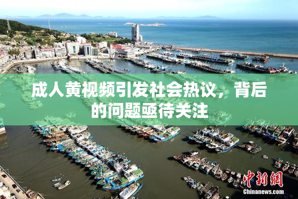 成人黄视频引发社会热议，背后的问题亟待关注