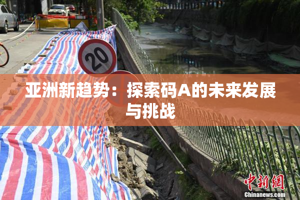 亚洲新趋势：探索码A的未来发展与挑战