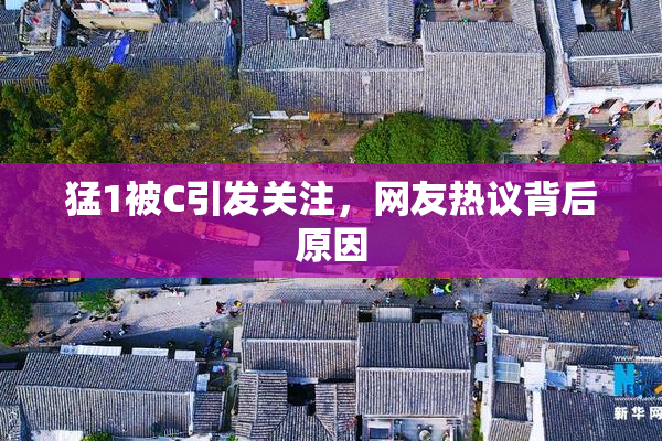 猛1被C引发关注，网友热议背后原因