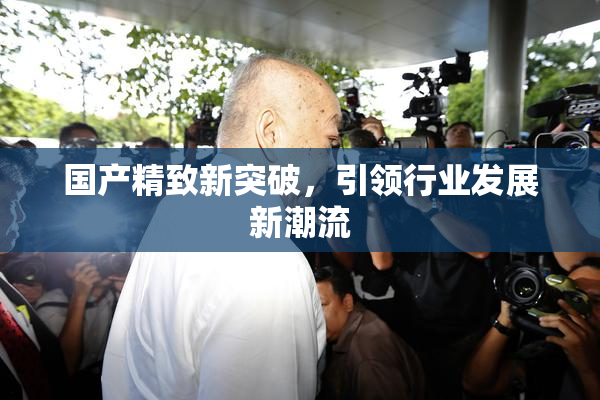 国产精致新突破，引领行业发展新潮流
