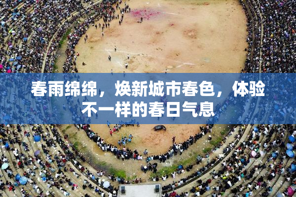 春雨绵绵，焕新城市春色，体验不一样的春日气息