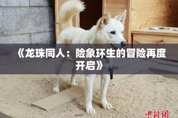 《龙珠同人：险象环生的冒险再度开启》