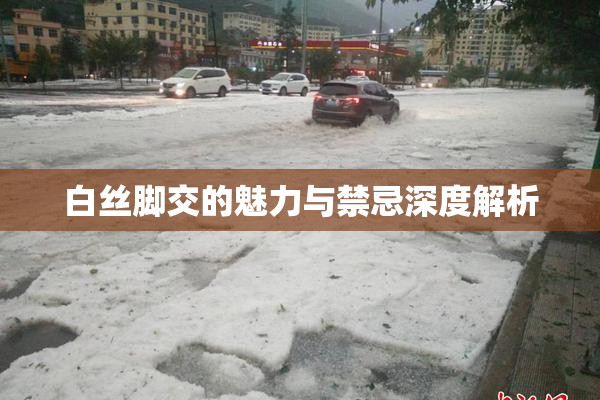 白丝脚交的魅力与禁忌深度解析