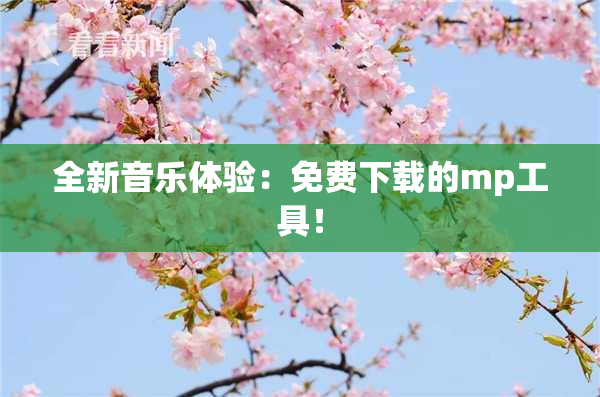 全新音乐体验：免费下载的mp工具！
