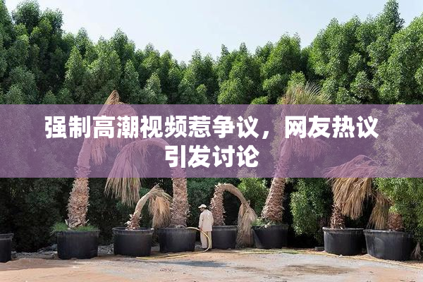 强制高潮视频惹争议，网友热议引发讨论