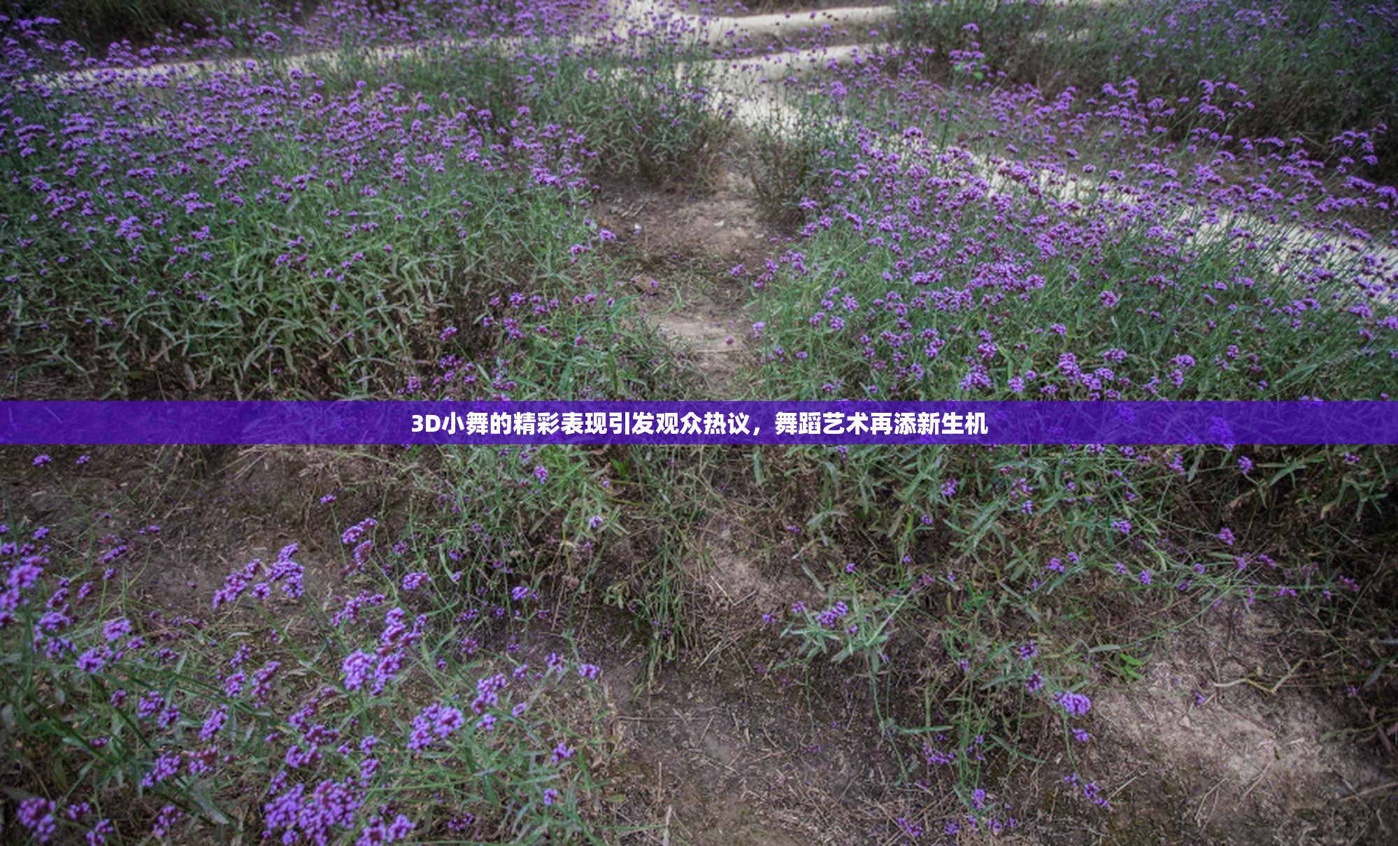 3D小舞的精彩表现引发观众热议，舞蹈艺术再添新生机