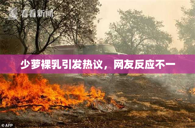 少萝裸乳引发热议，网友反应不一