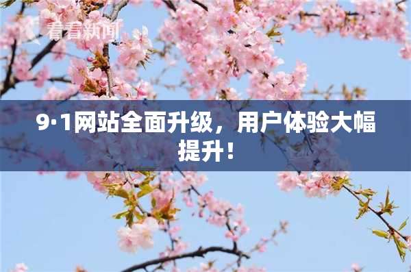9·1网站全面升级，用户体验大幅提升！