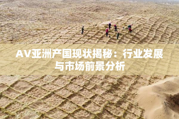 AV亚洲产国现状揭秘：行业发展与市场前景分析