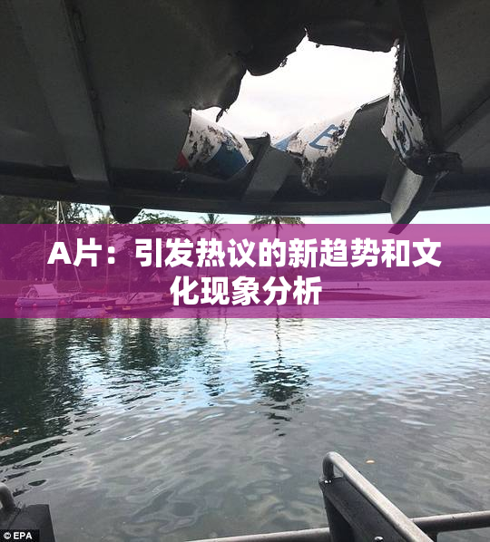 A片：引发热议的新趋势和文化现象分析