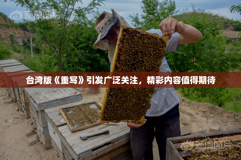 台湾版《重写》引发广泛关注，精彩内容值得期待