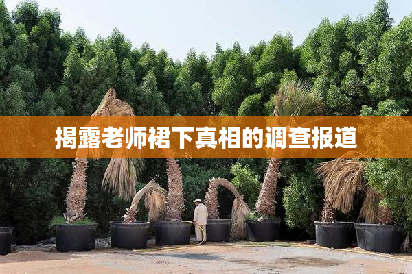 揭露老师裙下真相的调查报道