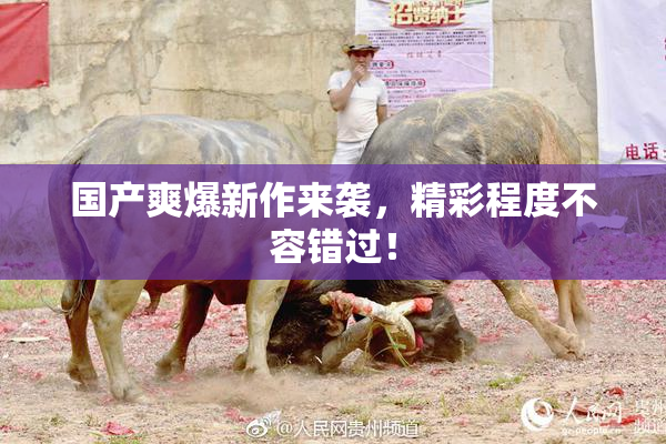 国产爽爆新作来袭，精彩程度不容错过！