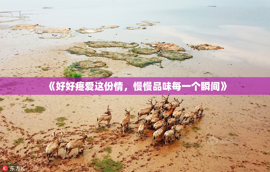 《好好疼爱这份情，慢慢品味每一个瞬间》