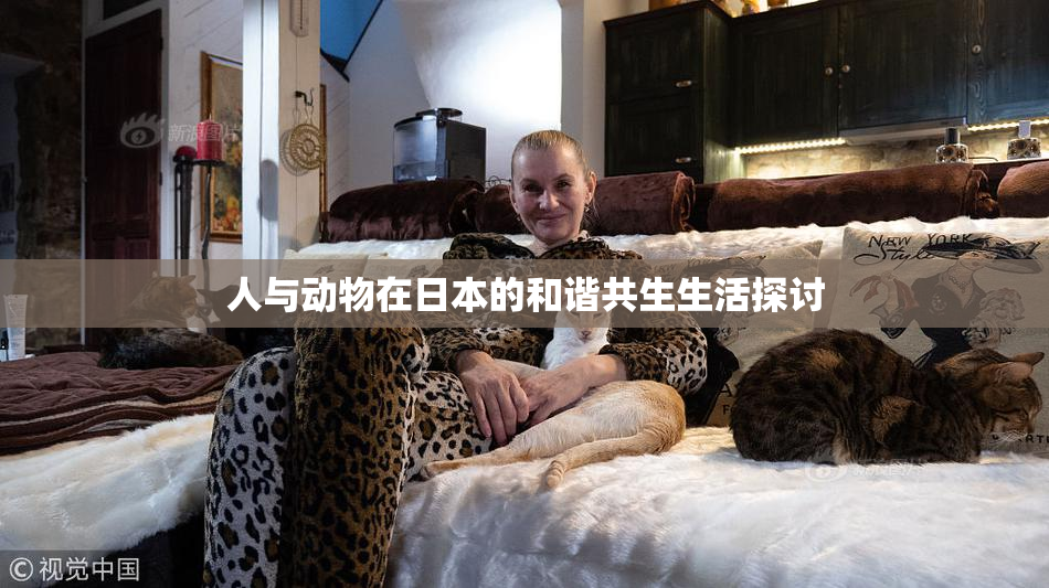 人与动物在日本的和谐共生生活探讨