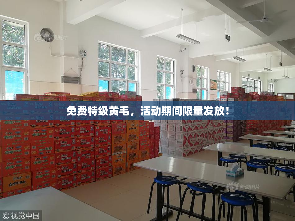 免费特级黄毛，活动期间限量发放！