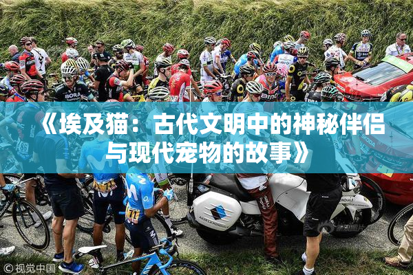 《埃及猫：古代文明中的神秘伴侣与现代宠物的故事》