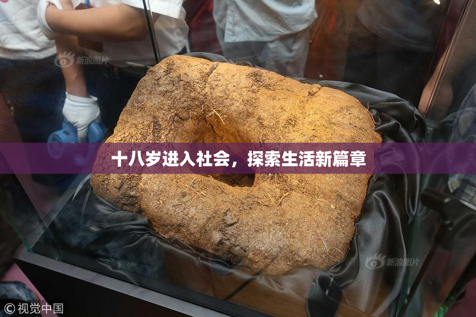 十八岁进入社会，探索生活新篇章