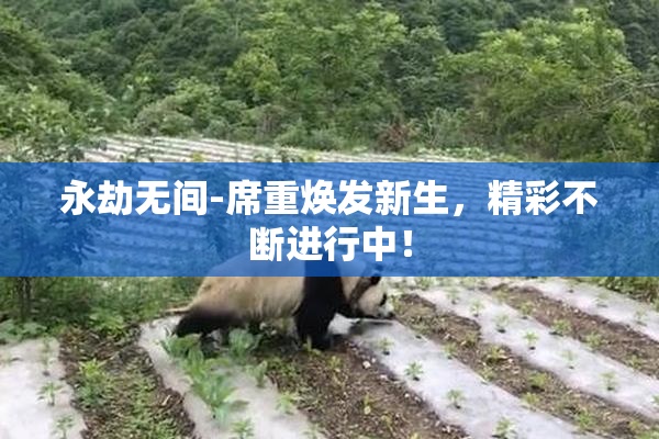 永劫无间-席重焕发新生，精彩不断进行中！
