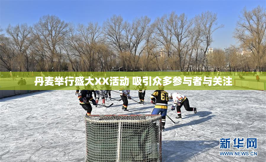 丹麦举行盛大XX活动 吸引众多参与者与关注