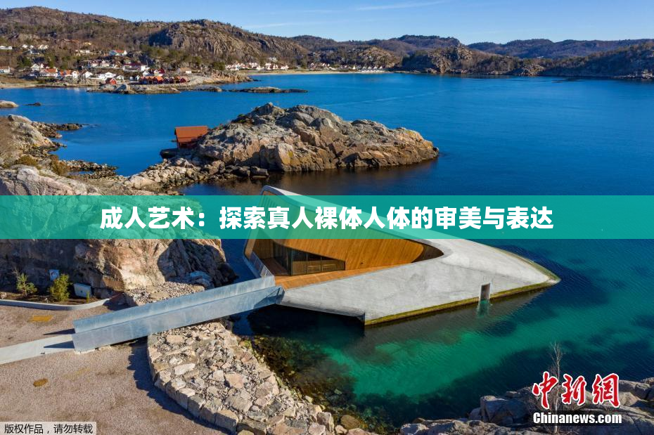 成人艺术：探索真人裸体人体的审美与表达