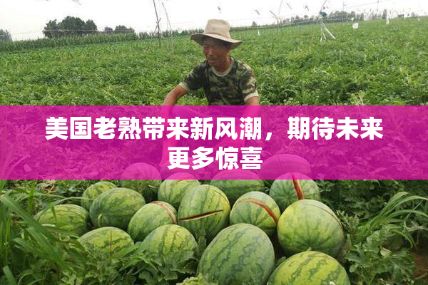 美国老熟带来新风潮，期待未来更多惊喜