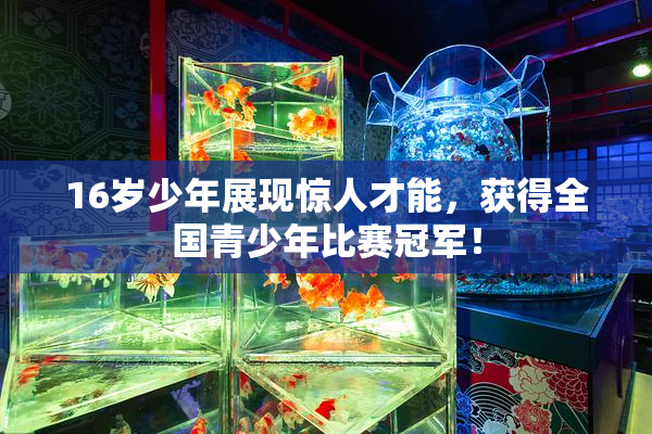 16岁少年展现惊人才能，获得全国青少年比赛冠军！