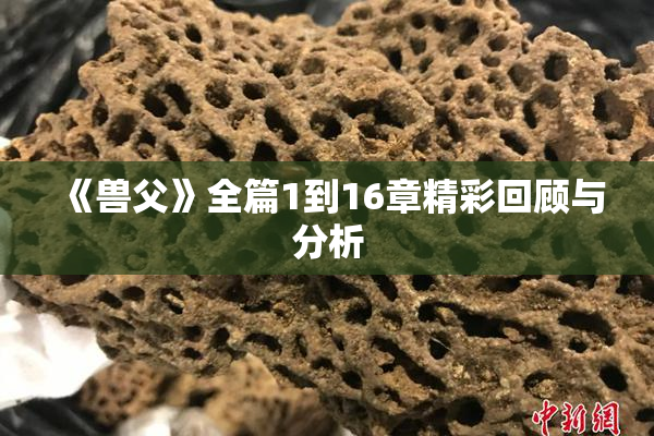 《兽父》全篇1到16章精彩回顾与分析