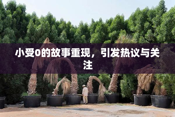 小受0的故事重现，引发热议与关注