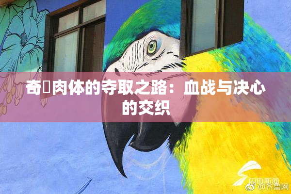 奇犽肉体的夺取之路：血战与决心的交织