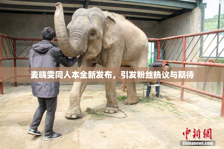 麦晓雯同人本全新发布，引发粉丝热议与期待