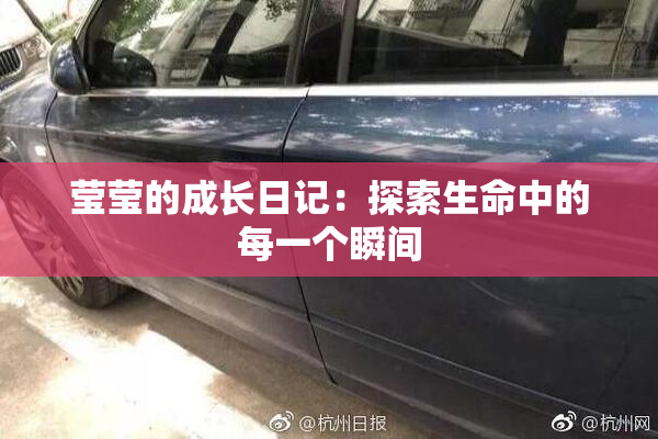 莹莹的成长日记：探索生命中的每一个瞬间