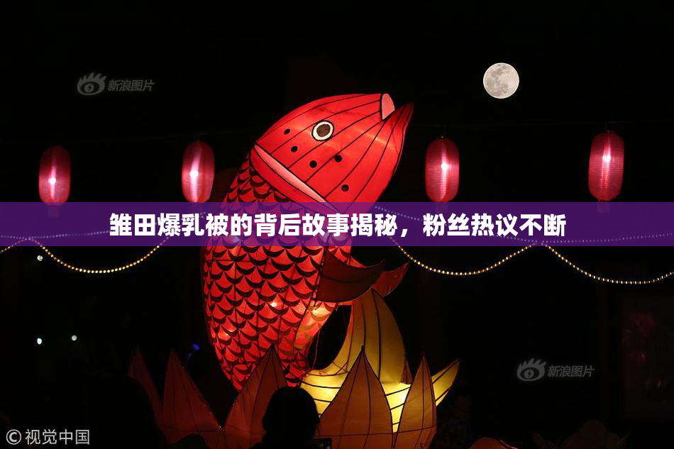 雏田爆乳被的背后故事揭秘，粉丝热议不断