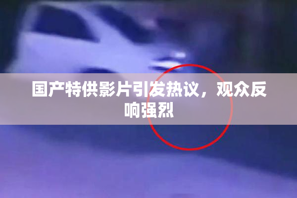 国产特供影片引发热议，观众反响强烈