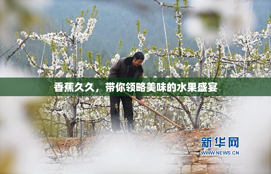 香蕉久久，带你领略美味的水果盛宴