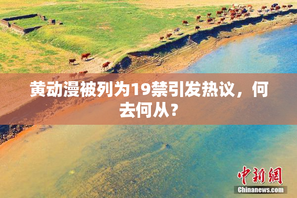 黄动漫被列为19禁引发热议，何去何从？