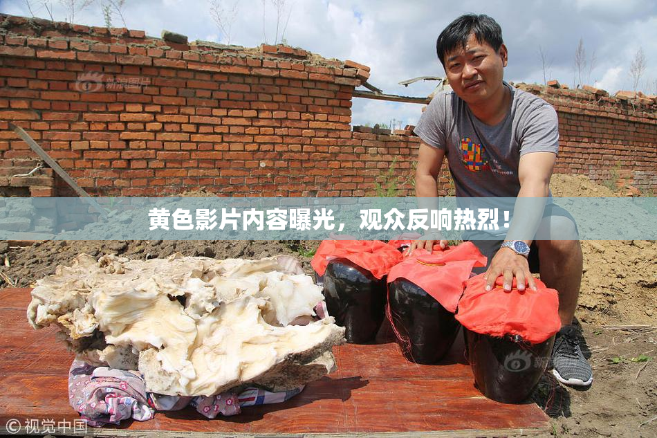 黄色影片内容曝光，观众反响热烈！