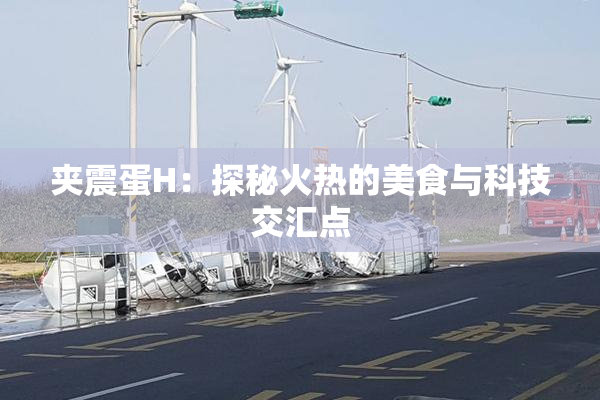 夹震蛋H：探秘火热的美食与科技交汇点