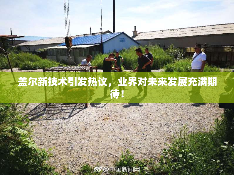 盖尔新技术引发热议，业界对未来发展充满期待！
